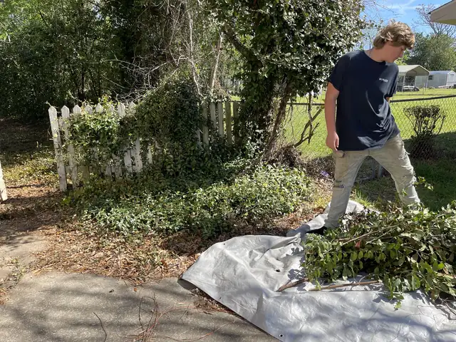 Crew member dragging cut brush onto a tarp beside a white picket fence