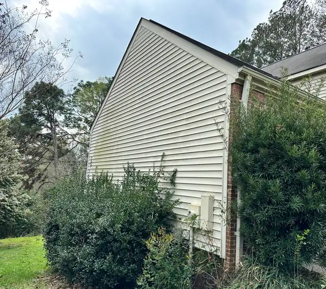 Cream siding streaked with green algae